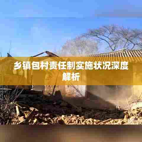 乡镇包村责任制实施状况深度解析
