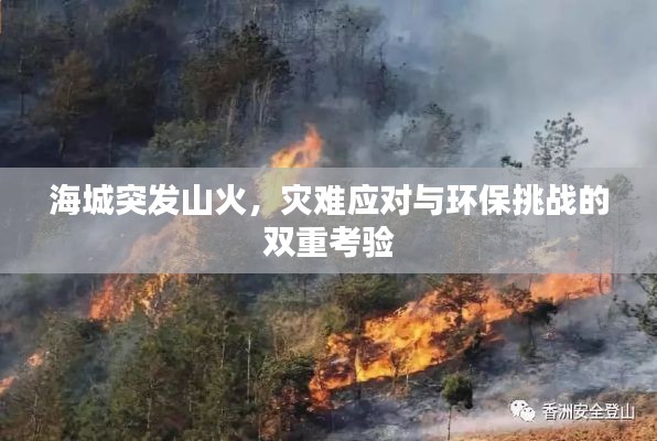 海城突发山火，灾难应对与环保挑战的双重考验