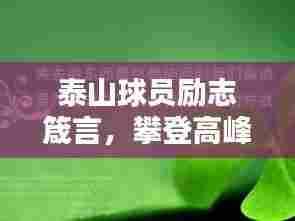泰山球员励志箴言，攀登高峰，志存高远