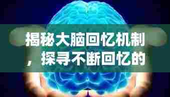 揭秘大脑回忆机制,探寻不断回忆的奥秘