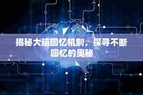 揭秘大脑回忆机制,探寻不断回忆的奥秘