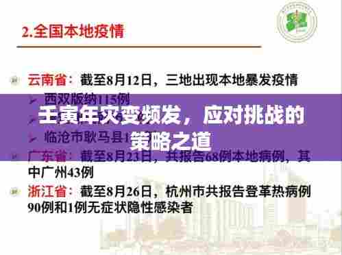 壬寅年灾变频发,应对挑战的策略之道