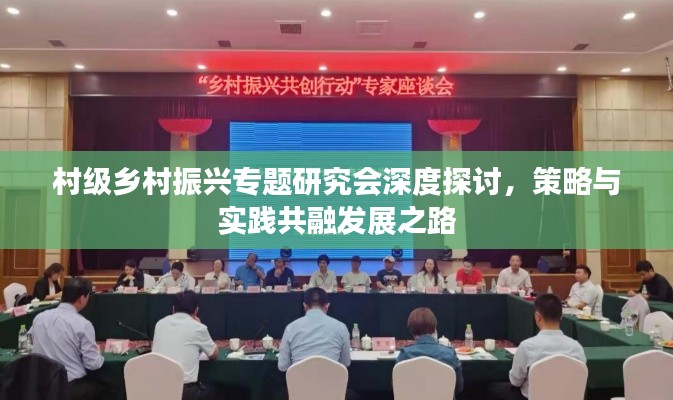 村级乡村振兴专题研究会深度探讨,策略与实践共融发展之路