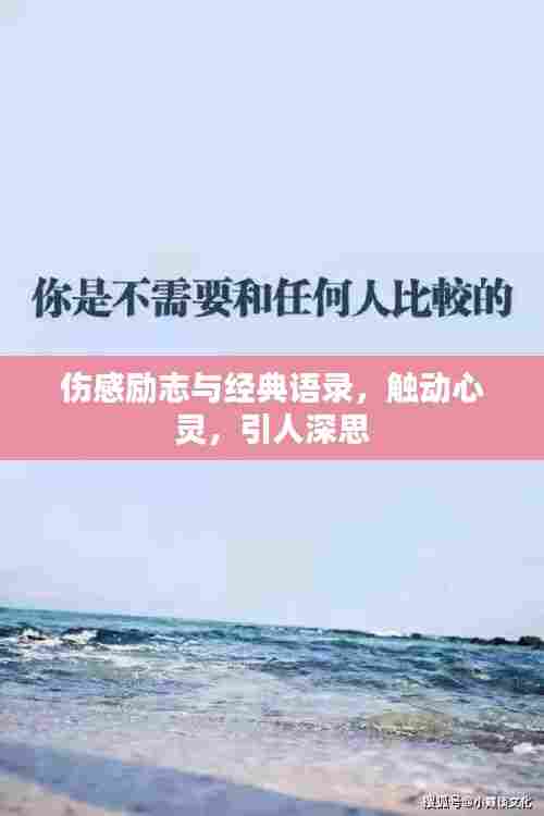 伤感励志与经典语录，触动心灵，引人深思