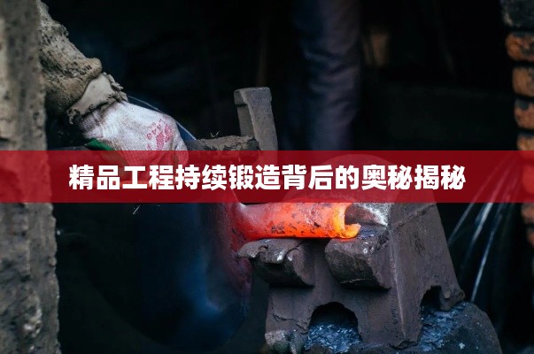 精品工程持续锻造背后的奥秘揭秘