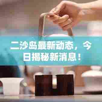 二沙岛最新动态,今日揭秘新消息!