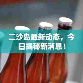 二沙岛最新动态,今日揭秘新消息!