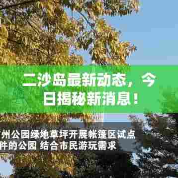 二沙岛最新动态,今日揭秘新消息!