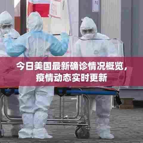 今日美国最新确诊情况概览，疫情动态实时更新