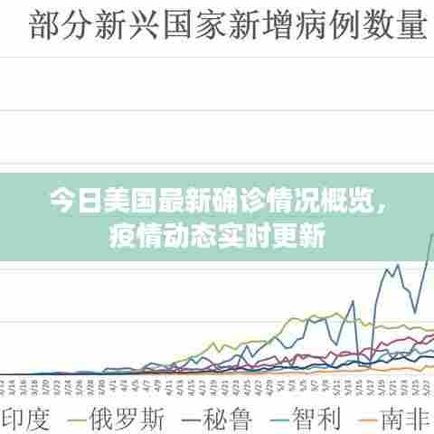 今日美国最新确诊情况概览,疫情动态实时更新
