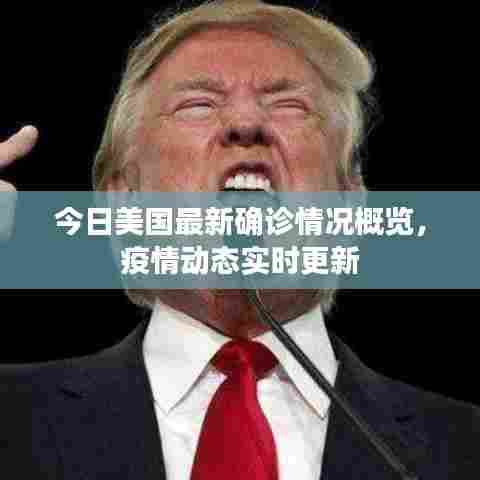 今日美国最新确诊情况概览,疫情动态实时更新