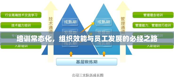 培训常态化,组织效能与员工发展的必经之路