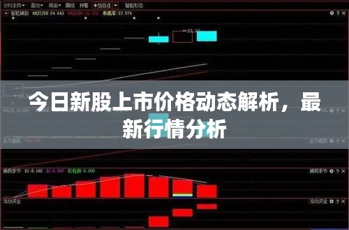 今日新股上市价格动态解析,最新行情分析