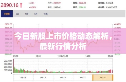 今日新股上市价格动态解析,最新行情分析