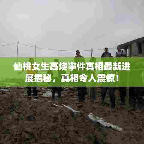 仙桃女生高烧事件真相最新进展揭秘，真相令人震惊！