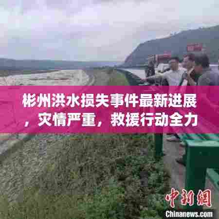 彬州洪水损失事件最新进展，灾情严重，救援行动全力展开