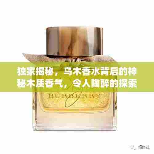 独家揭秘,乌木香水背后的神秘木质香气,令人陶醉的探索之旅