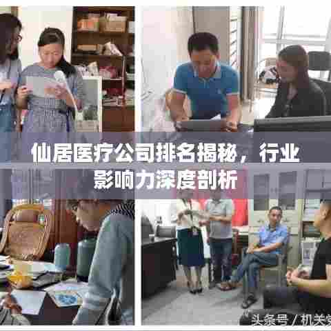 仙居医疗公司排名揭秘，行业影响力深度剖析