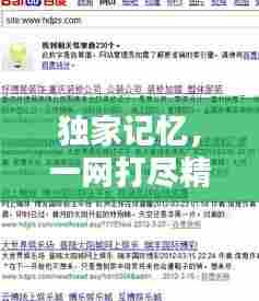 独家记忆，一网打尽精彩瞬间，百度收录必备标题！