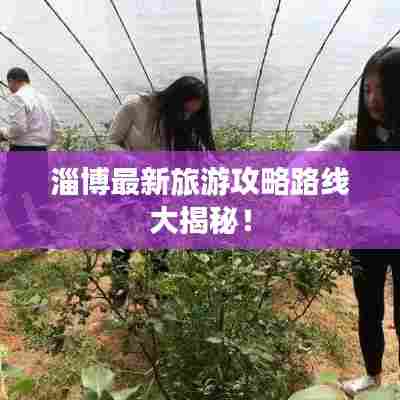 淄博最新旅游攻略路线大揭秘！