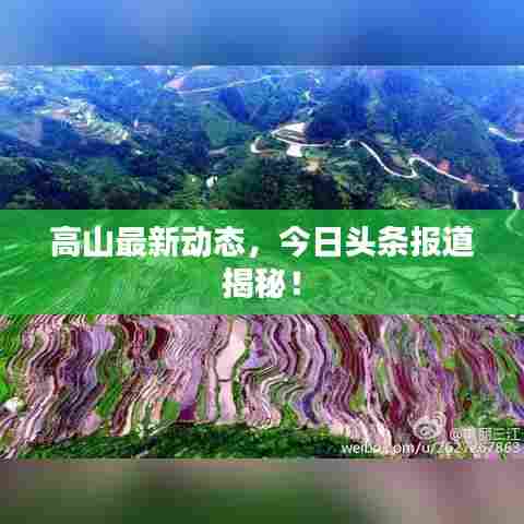 高山最新动态,今日头条报道揭秘!