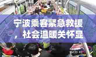 百鸟归巢 第6页