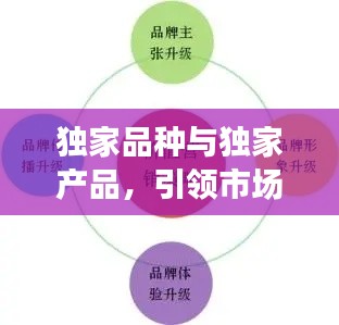 独家品种与独家产品,引领市场潮流的独家力量