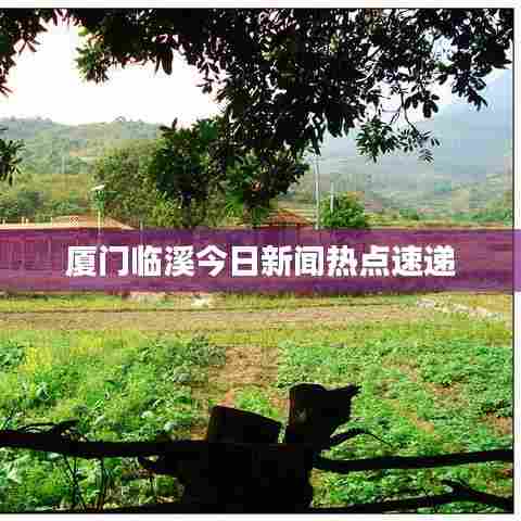 厦门临溪今日新闻热点速递