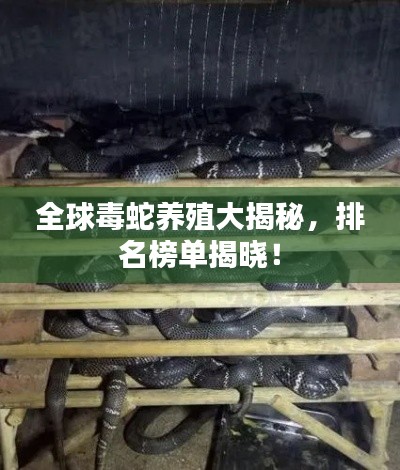全球毒蛇养殖大揭秘,排名榜单揭晓!