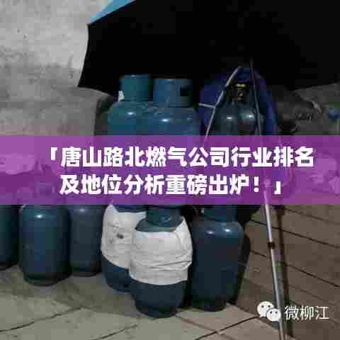 「唐山路北燃气公司行业排名及地位分析重磅出炉！」