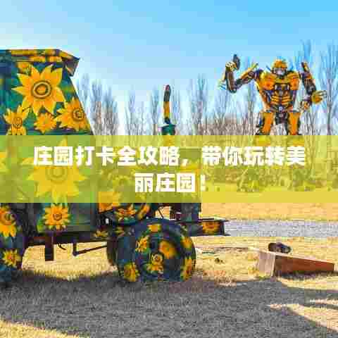 庄园打卡全攻略，带你玩转美丽庄园！