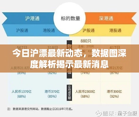 今日沪漂最新动态,数据图深度解析揭示最新消息