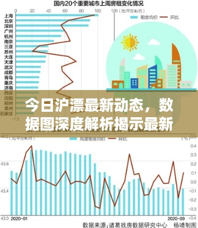 今日沪漂最新动态,数据图深度解析揭示最新消息