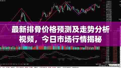 最新排骨价格预测及走势分析视频，今日市场行情揭秘