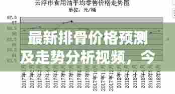 最新排骨价格预测及走势分析视频,今日市场行情揭秘
