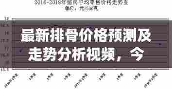 最新排骨价格预测及走势分析视频,今日市场行情揭秘