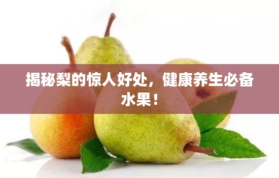 不求甚解 第6页