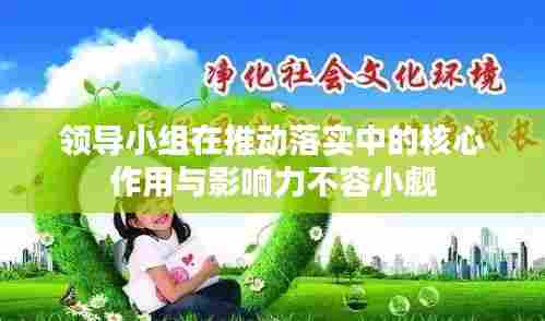 领导小组在推动落实中的核心作用与影响力不容小觑