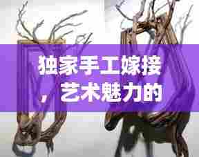 独家手工嫁接,艺术魅力的独特展现