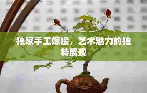 独家手工嫁接,艺术魅力的独特展现