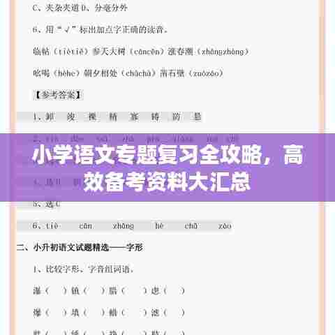 小学语文专题复习全攻略,高效备考资料大汇总