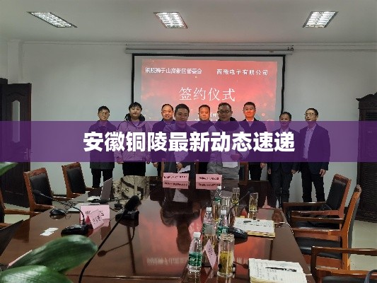 安徽铜陵最新动态速递