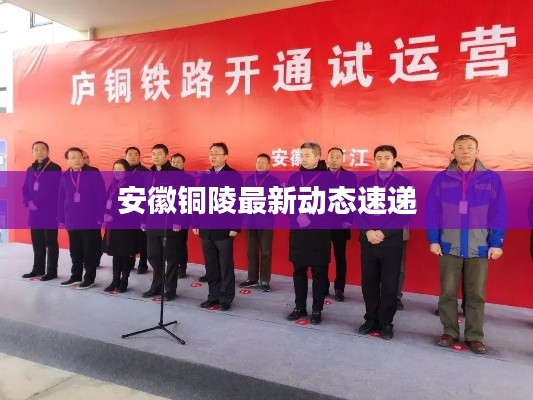 安徽铜陵最新动态速递