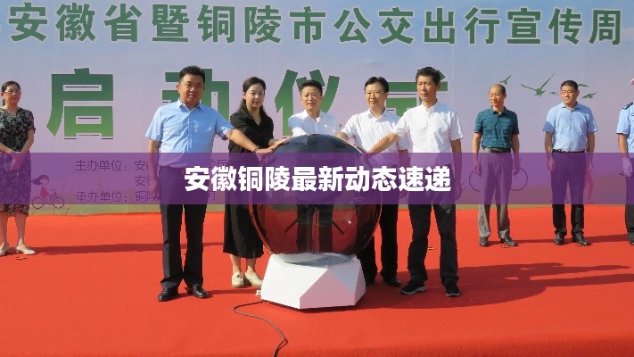 安徽铜陵最新动态速递