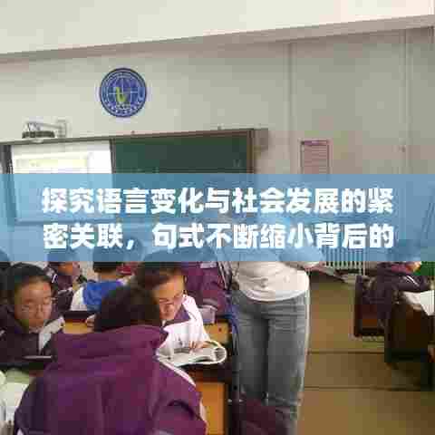 探究语言变化与社会发展的紧密关联，句式不断缩小背后的深层原因