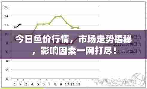 今日鱼价行情,市场走势揭秘,影响因素一网打尽!