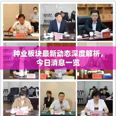 种业板块最新动态深度解析,今日消息一览