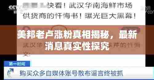 美邦老卢涨粉真相揭秘，最新消息真实性探究