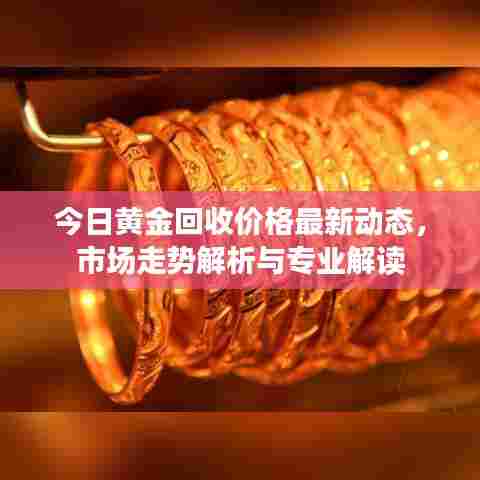 今日黄金回收价格最新动态，市场走势解析与专业解读