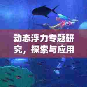 动态浮力专题研究,探索与应用之旅